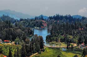 ooty kodai